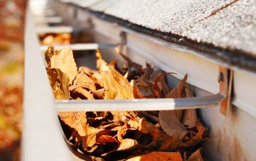 Turves gutter cleaning companies
