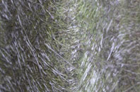 Turves fibreglass roof work